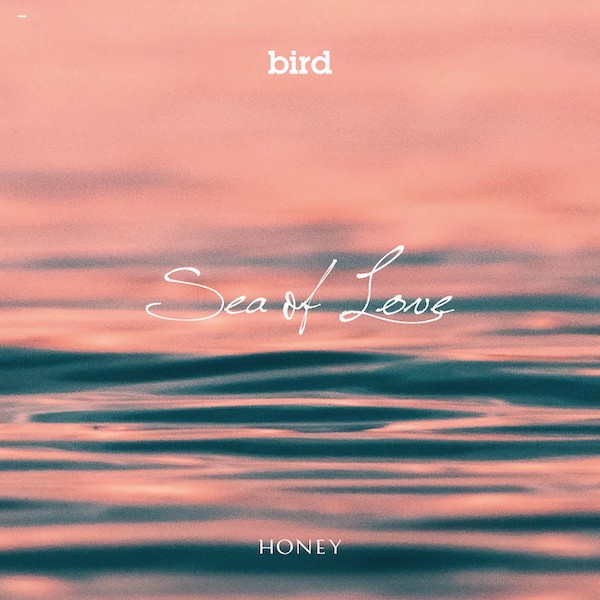 bird アナログレコード 7枚セット