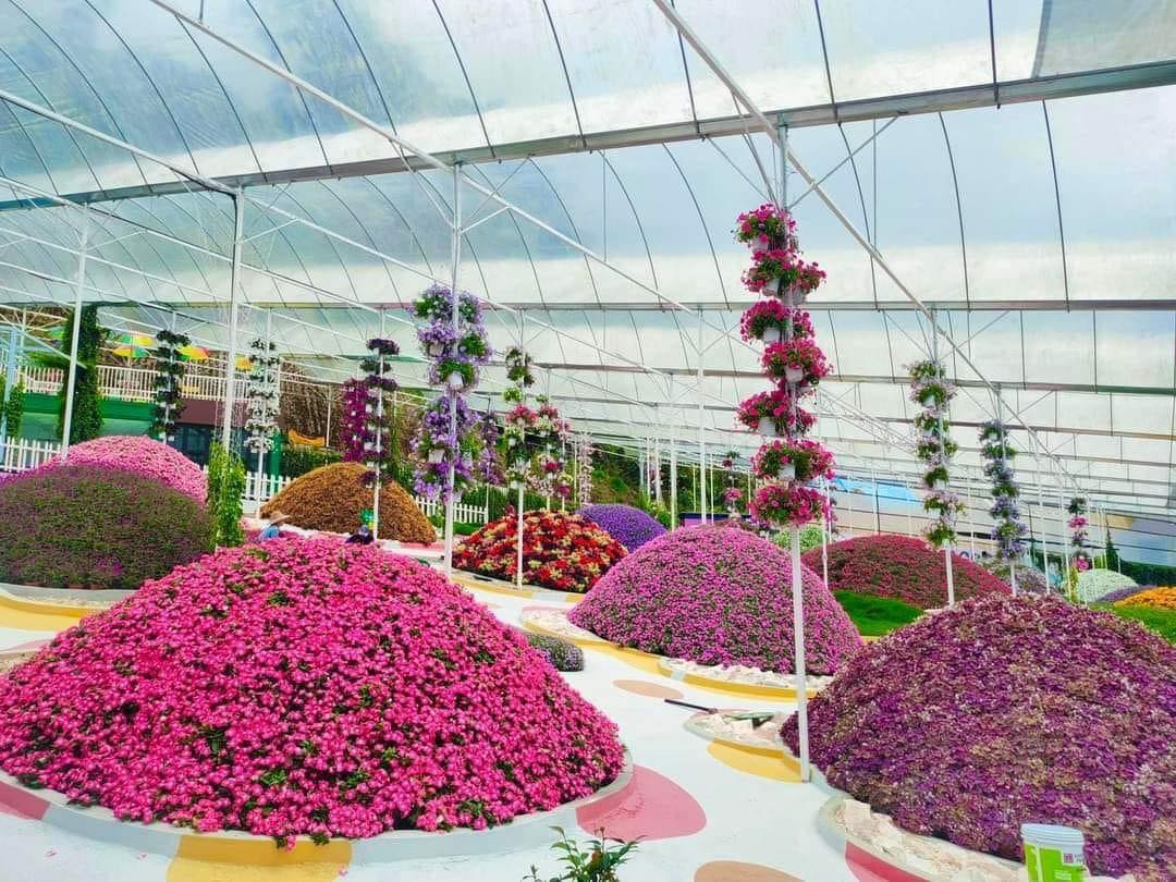 NEW dreamy floral park in Cameron Highlands So pretty Agro ...