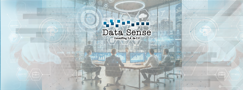 Data Sense Consulting | Estado de México