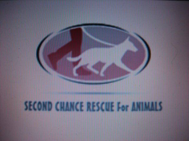 Second Chance Rescue... - Second Chance Rescue For Animals