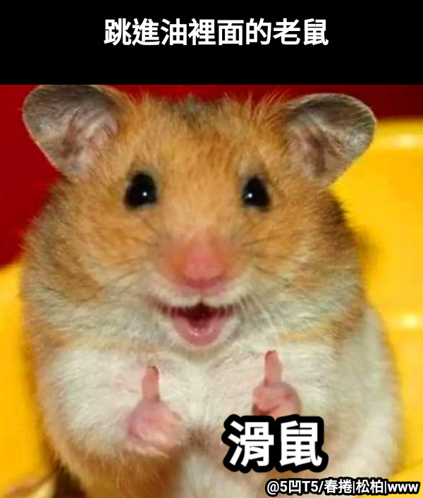 TTN 谈谈网 - 分享个冷笑话。 图取自： MEME梗图仓库@5凹T5/春捲|松柏|www