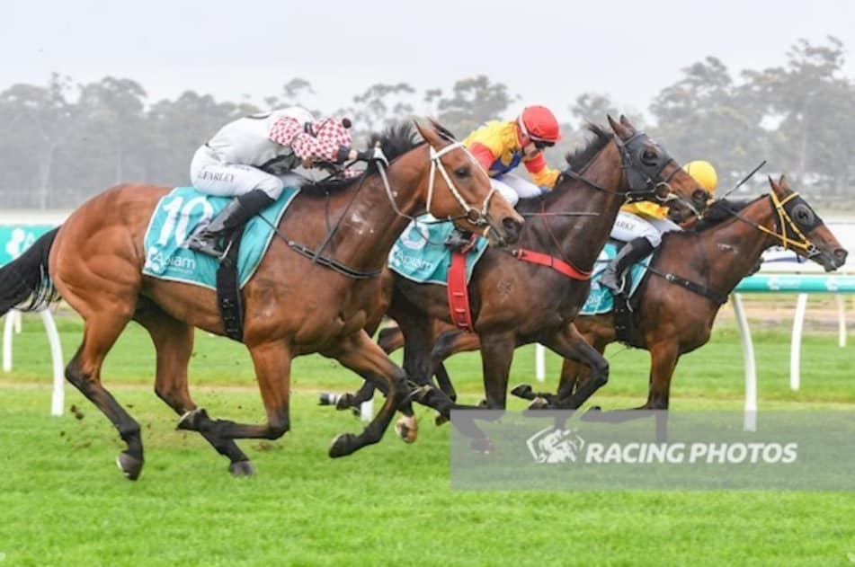 Cornish Gaskin Racing Stables | Echuca VIC