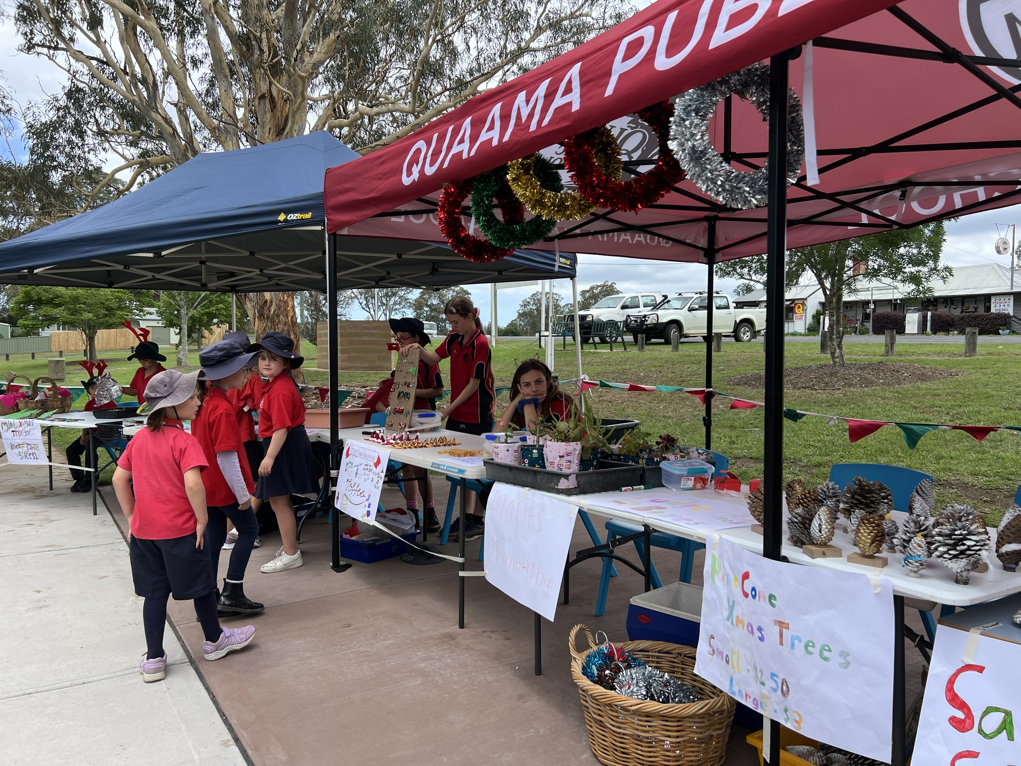 Quaama Public School