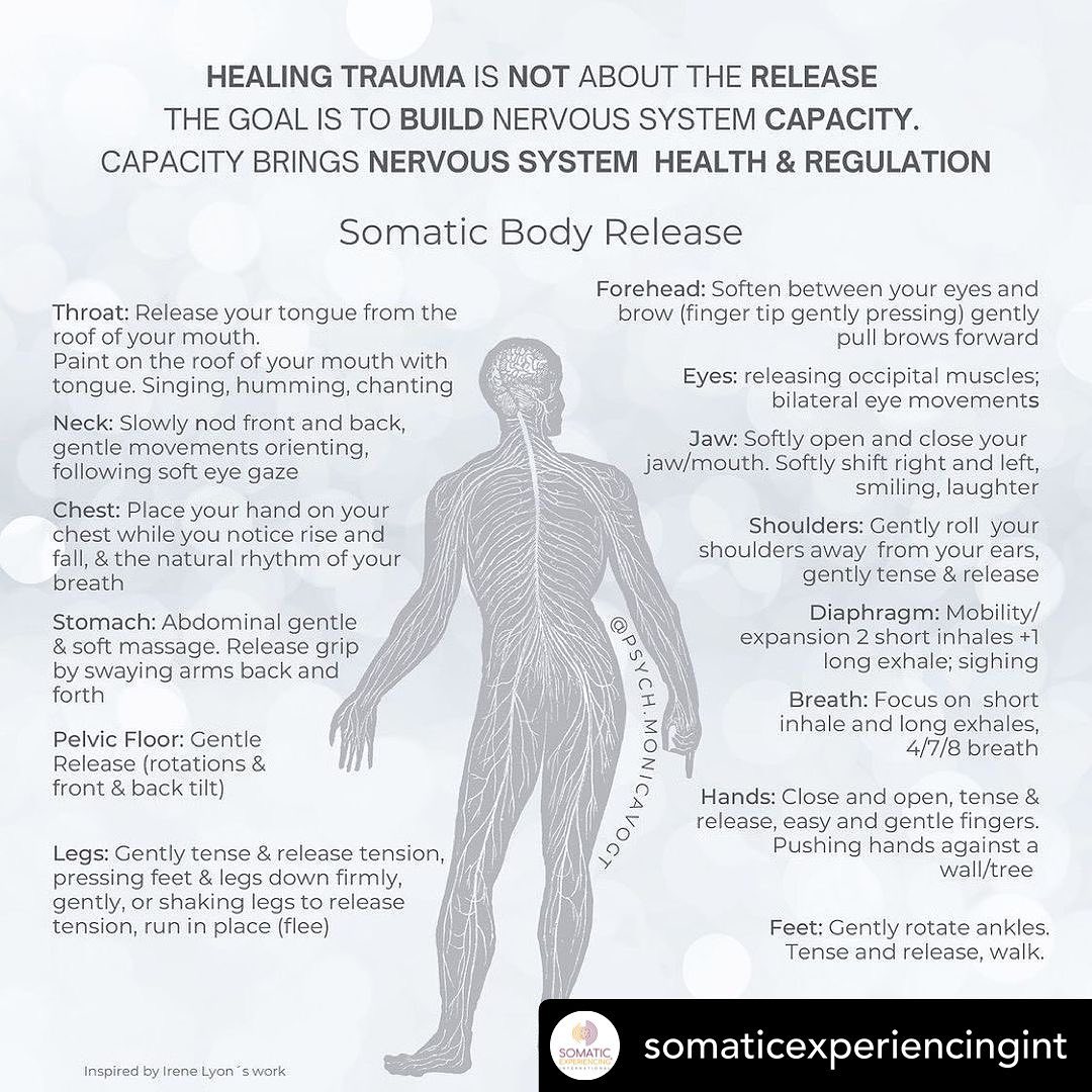 Mbodi - Mindful Bodywork & Massage | Louisville KY