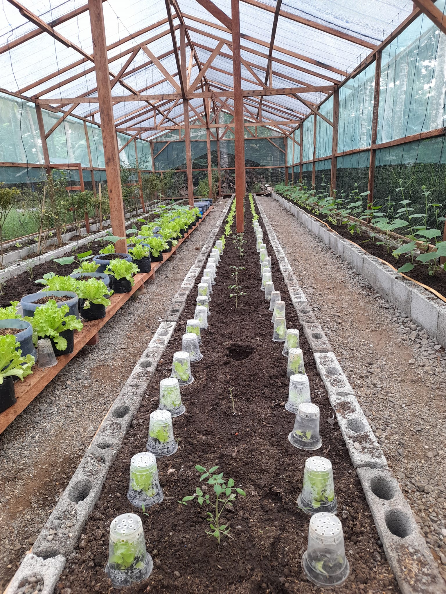 Rama's Nature Farm | Kauswagan