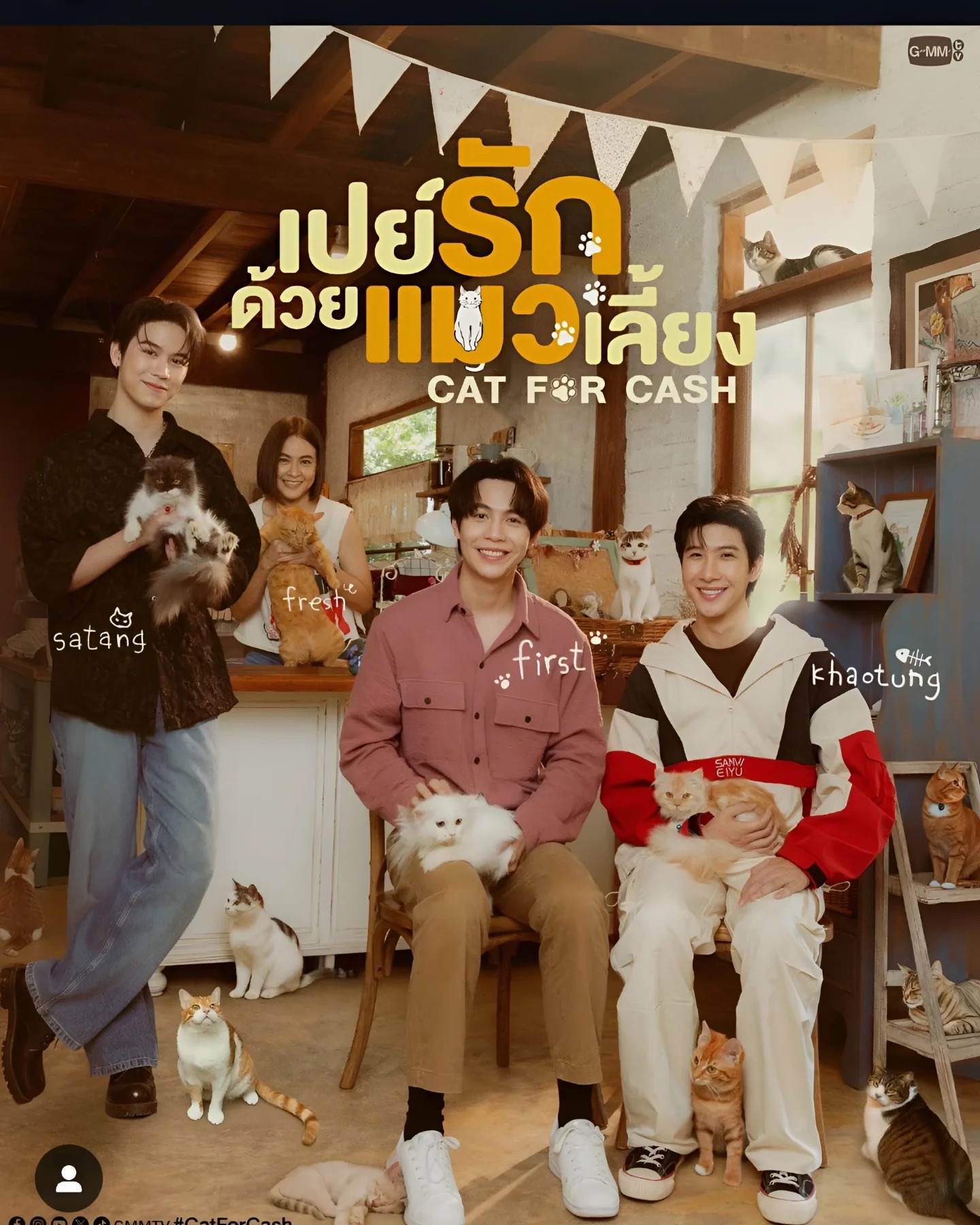 未開封 Cat for Cash FirstKhaotung GMMTV Thai BL series Cat For Cash starring First and Khaotung