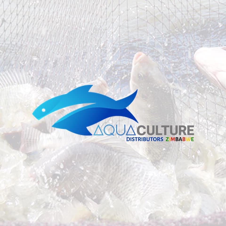 🚨 PROMO ALERT FOR AQUACULTURE DISTRIBUTORS 🚨 Fish delivery starts 28 ...