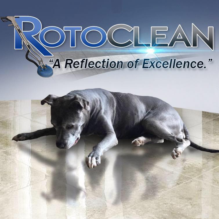 RotoClean - With widespread coverage of the Coronavirus, homeowners and ...