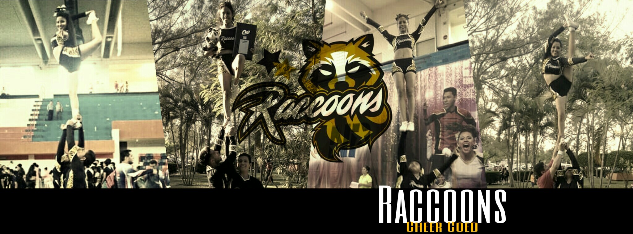 Raccoons cheer