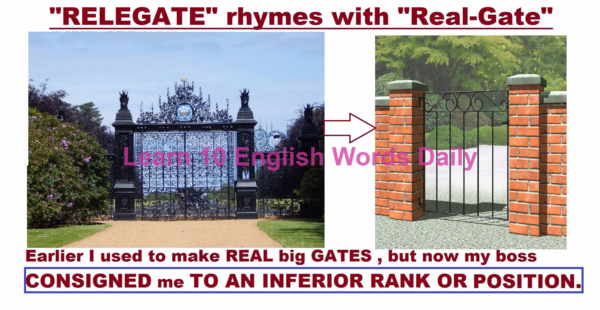 Learn English Vocabulary & Daily Use Sentences