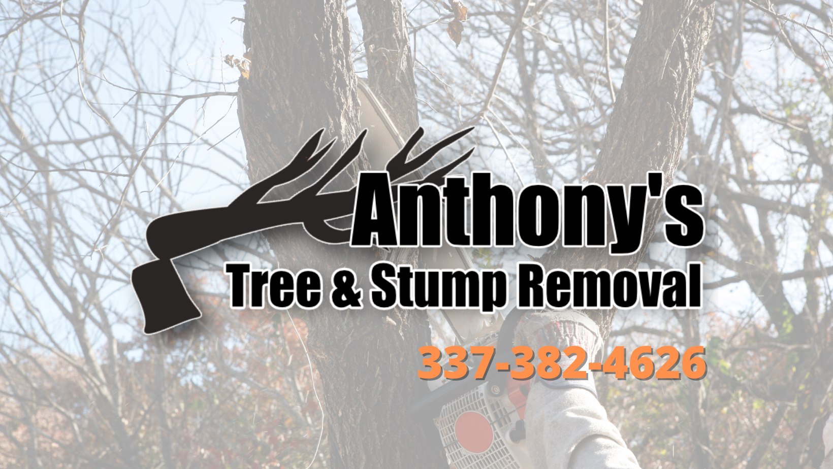 Anthony's Tree and Stump Removal Services LLC | Saint Martinville LA