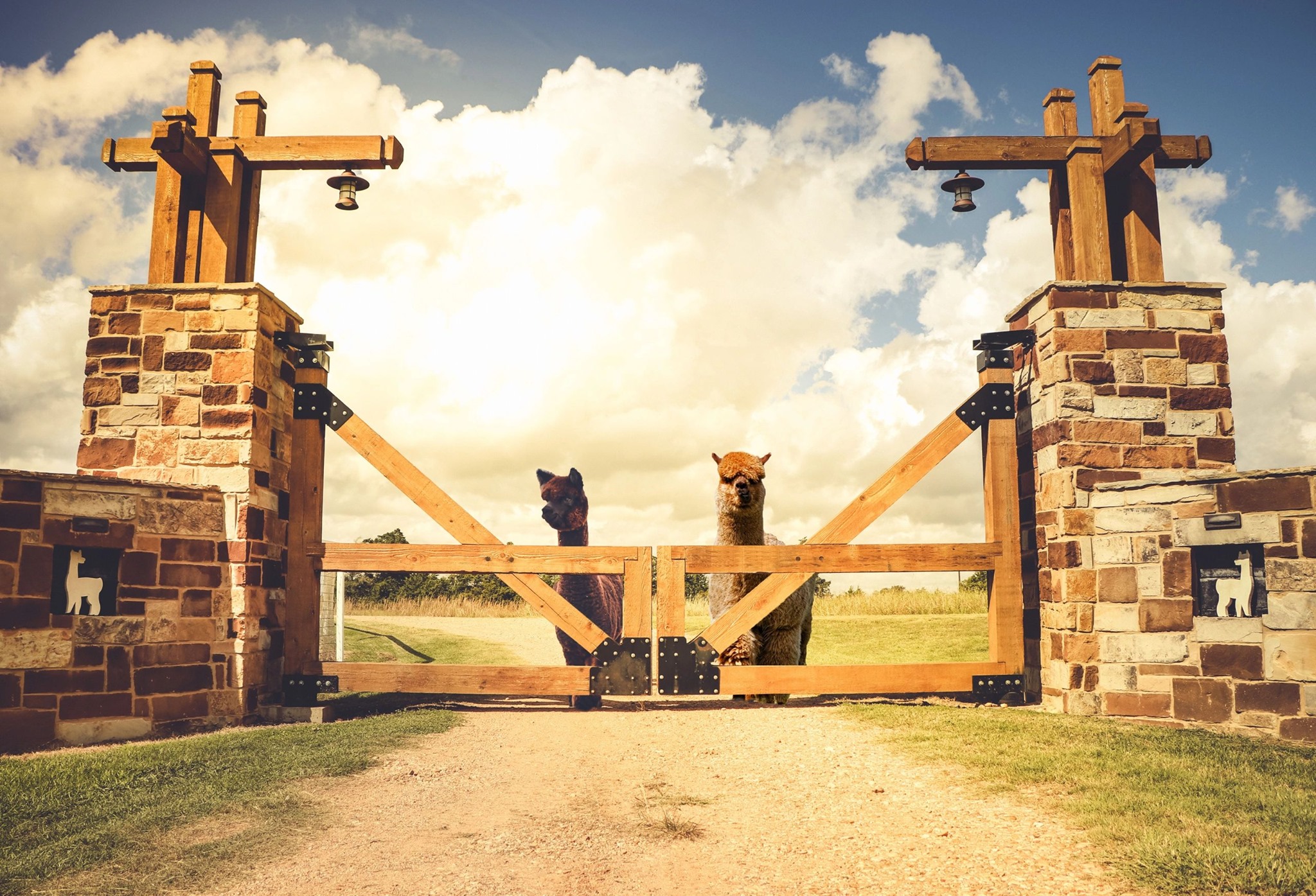 PEEKA RANCH | Burton TX