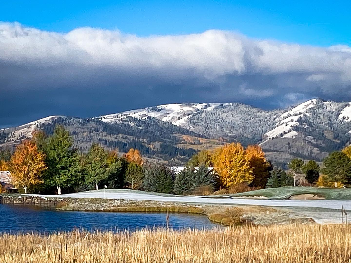 Anne Fish Real Estate | Jackson WY