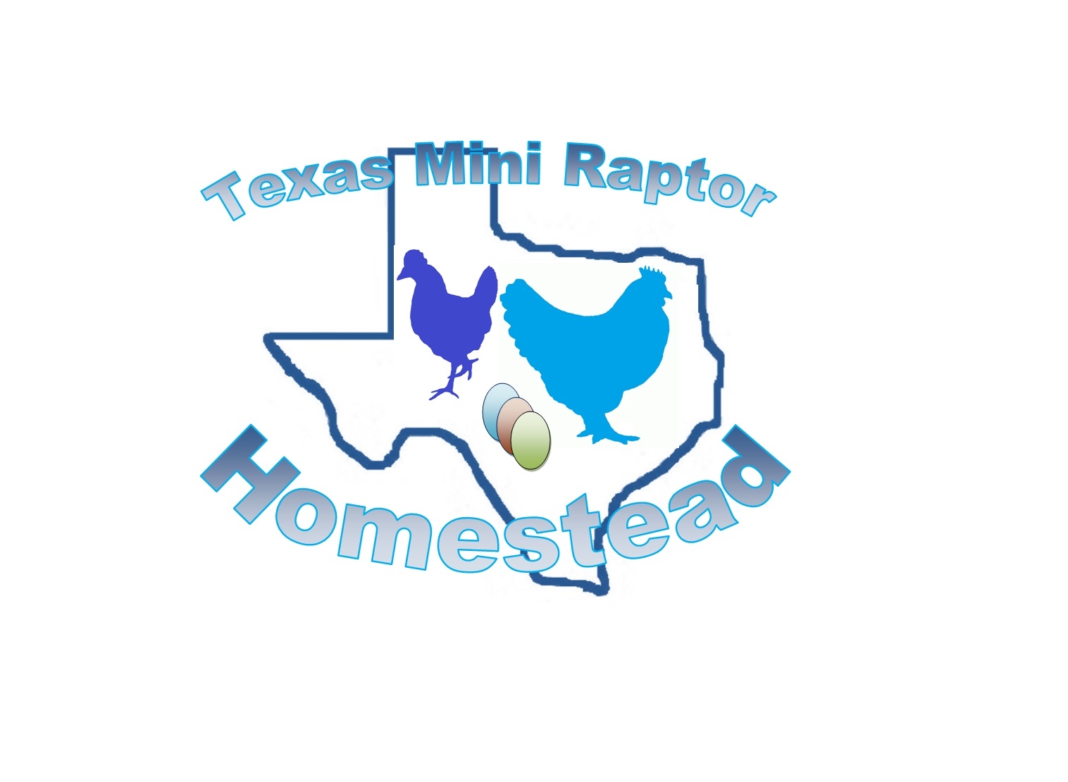 Texas Mini Raptor Homestead