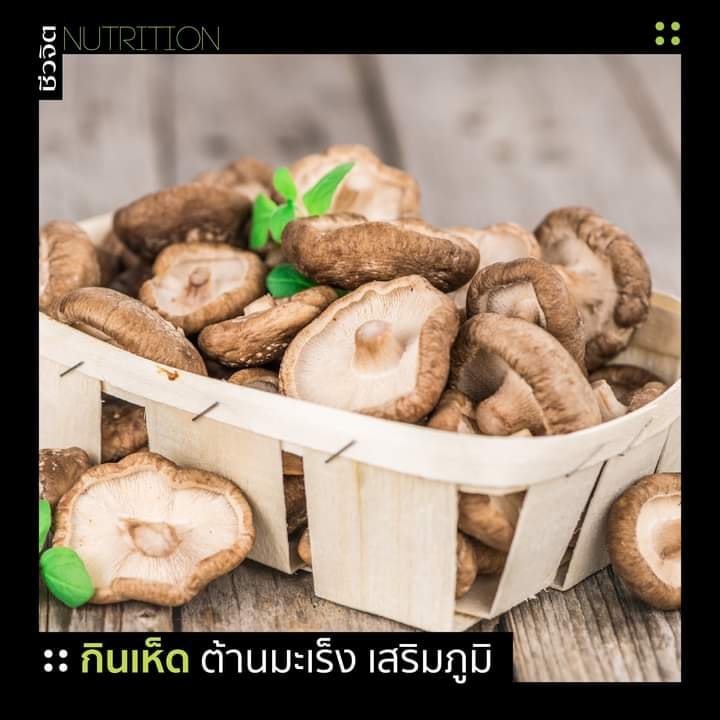 🍄 เห็ดเป็นแหล่งโปรตีนจากพืชชั้นยอด และที่สำคัญคือเป็นโปรตีนที่มีคุณภาพ