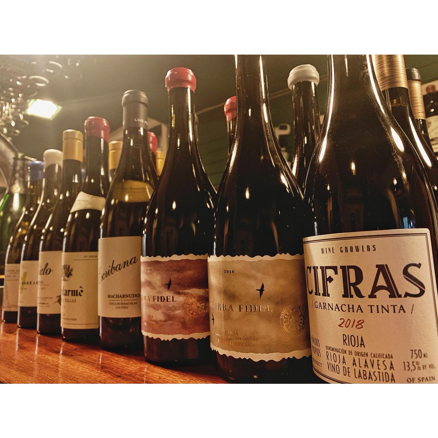 Roots Rioja | Logroño