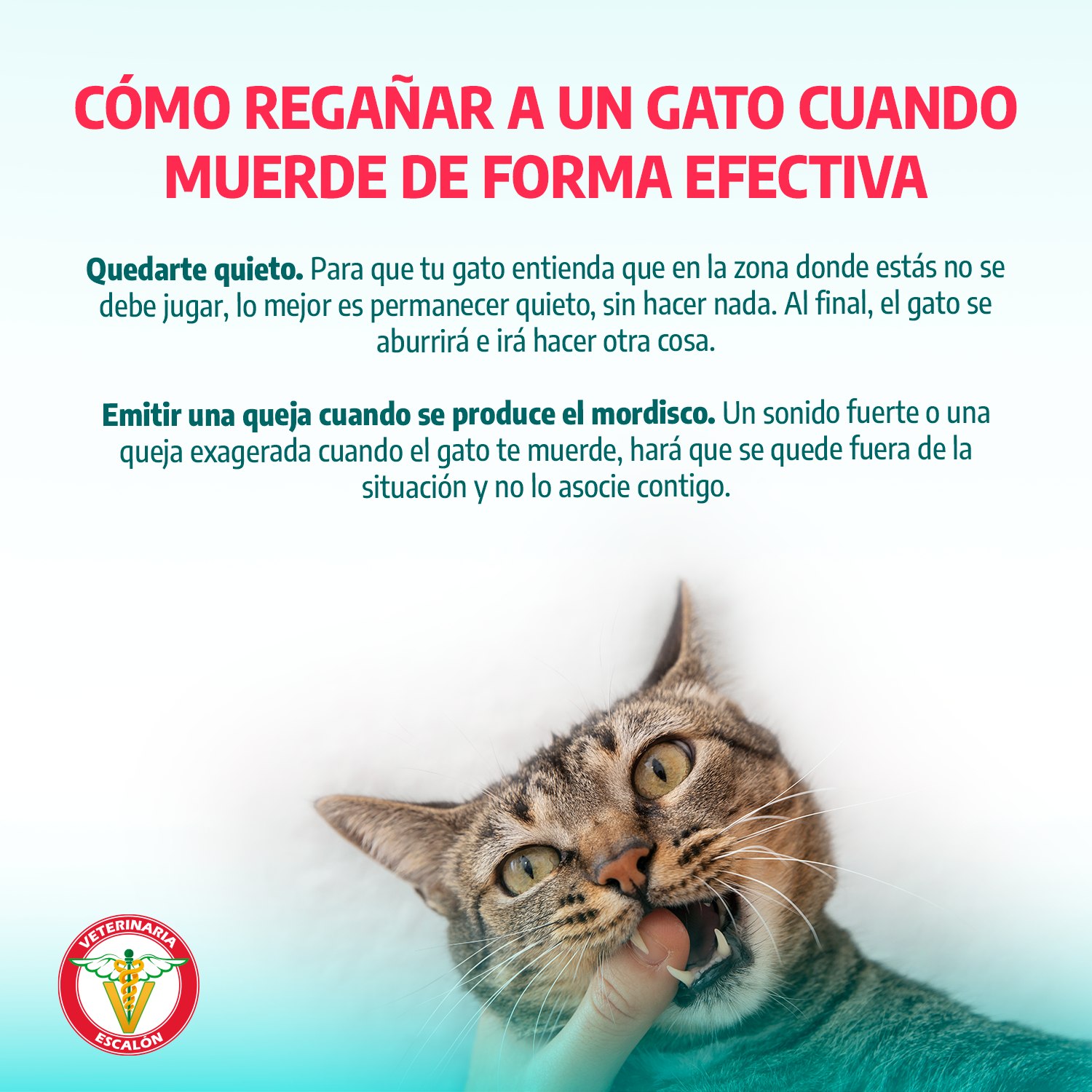 ?media id=562887738639455
