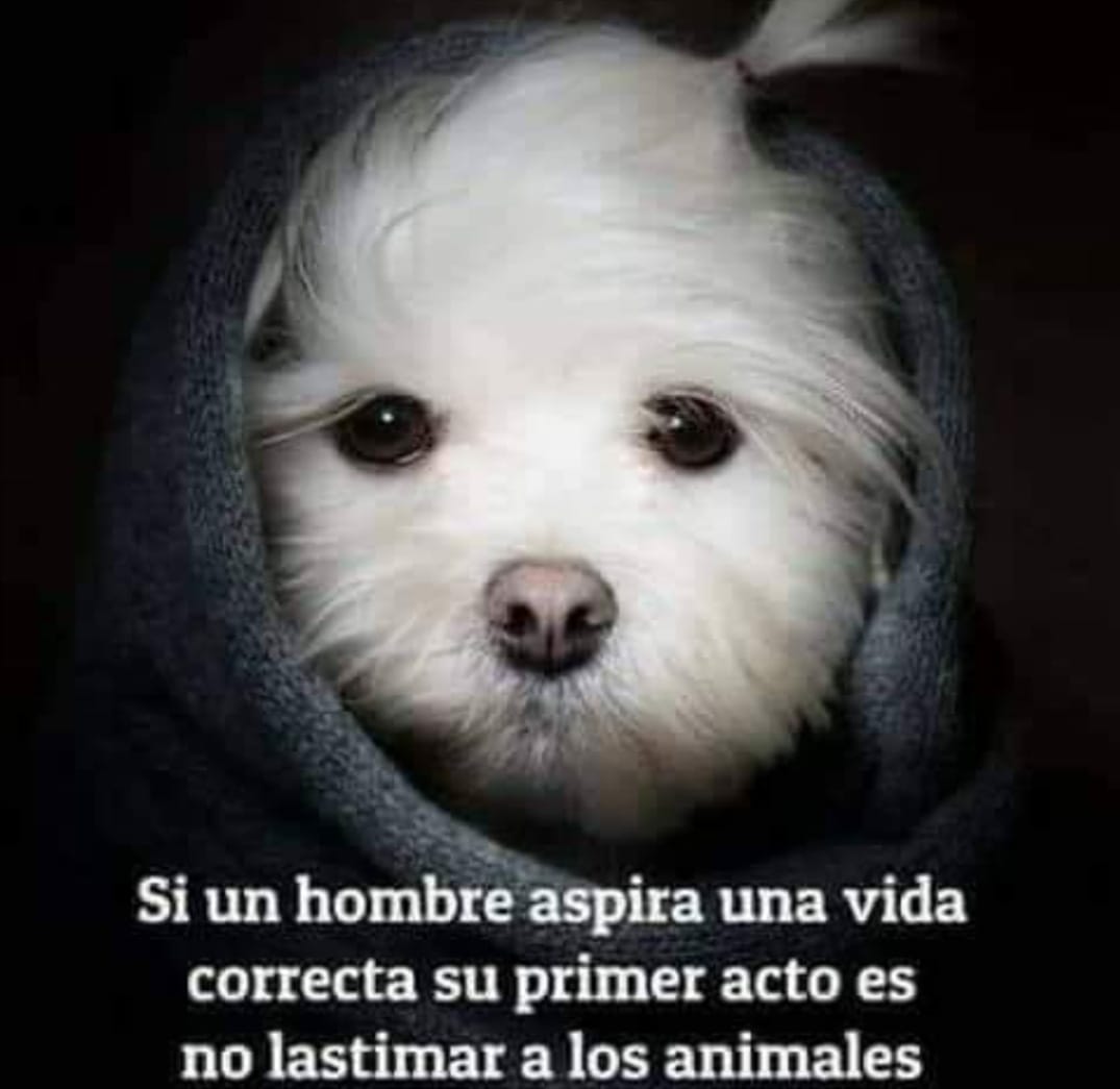 José Reyes | Facebook