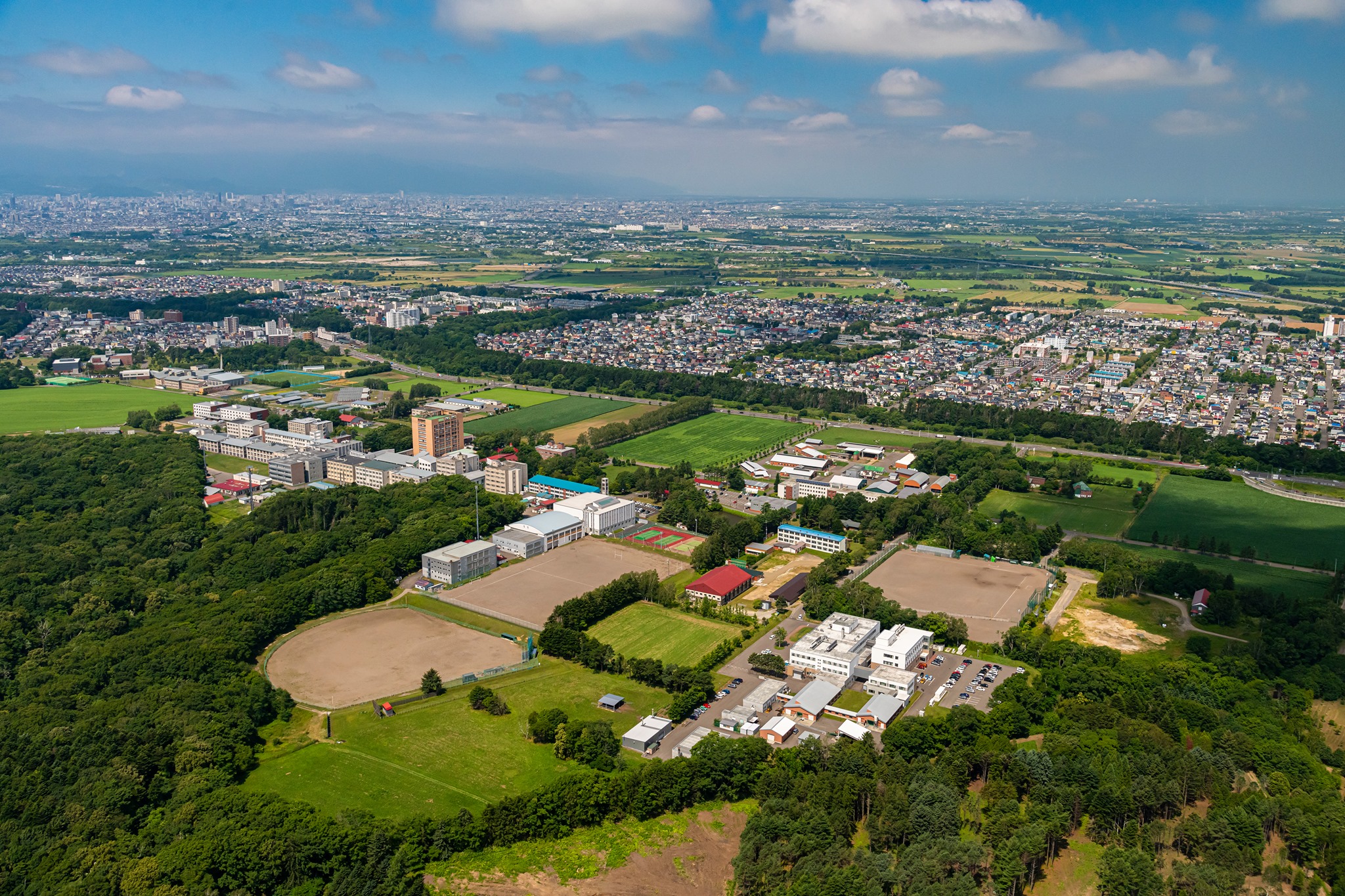 酪農 学園 大学