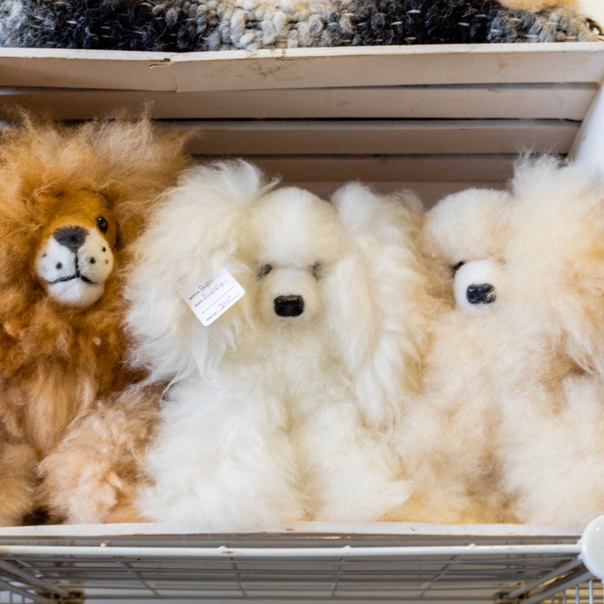 Sabamba Alpaca Ranch and Bed & Breakfast llc