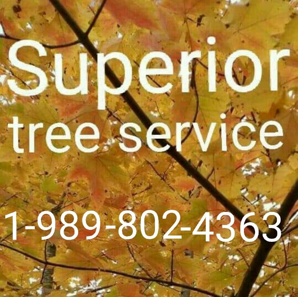 Superior Tree Services