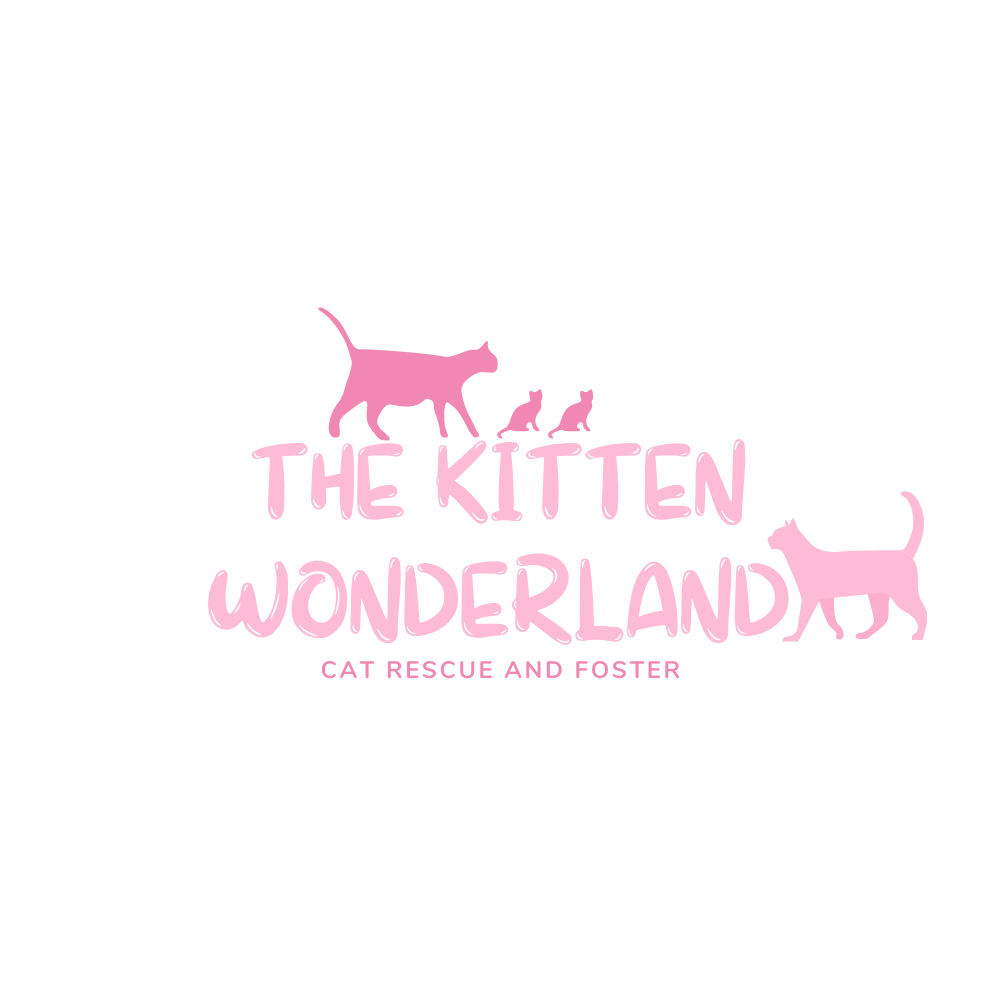 The Kitten Wonderland