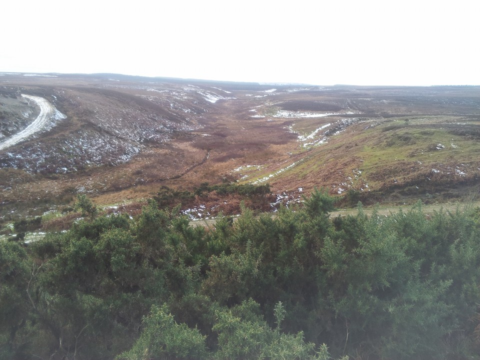 Hawk and Owl Trust - Biller Howe Dale. | Facebook