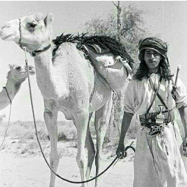 أرشيف الإسلام 245 الشاعر محسن الهزاني نسبه موطنه حياته شعره جمع وتحقيق تركي بن سعود الهزاني