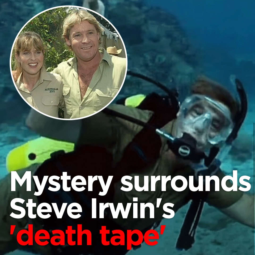 Daily - The tape caught Steve Irwin's final words. RIP 🤍 Full story ...