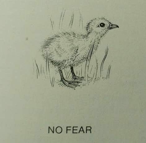 Science Diagrams That Look Like Shitposts