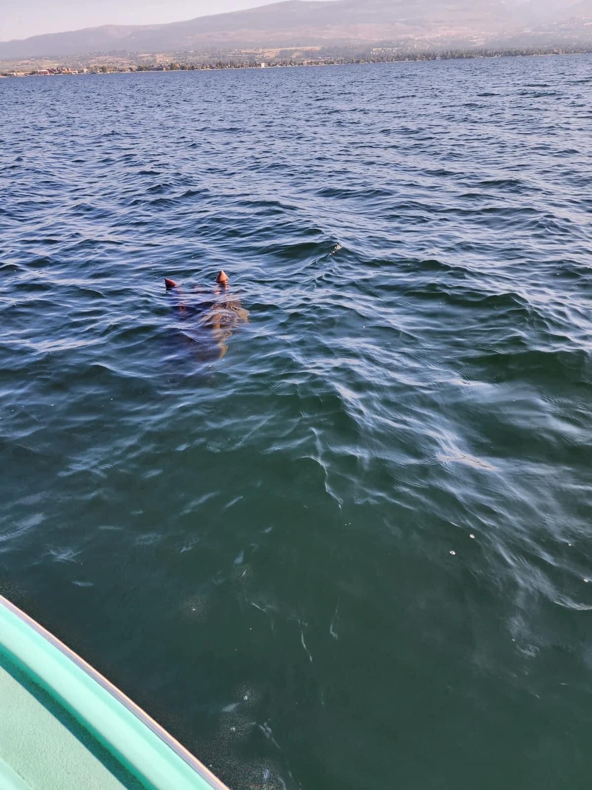 This pic is making the rounds spotted on Lake Okanagan near