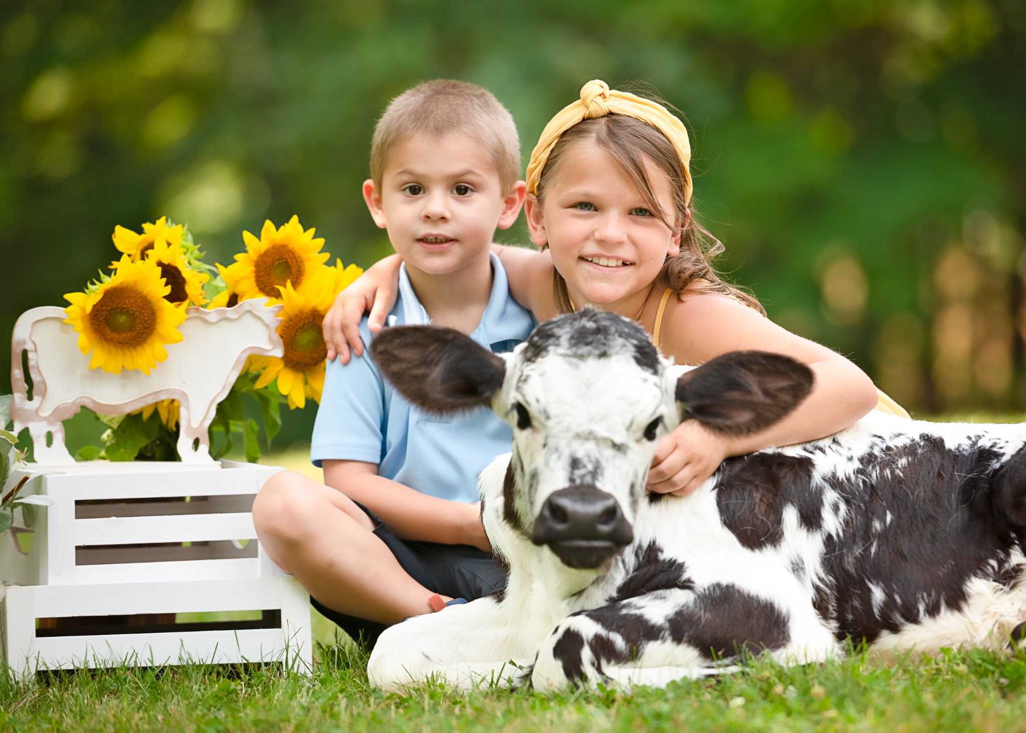 We're hitting the road! Baby Cow photo... - Autumn Ridge Farm | Facebook