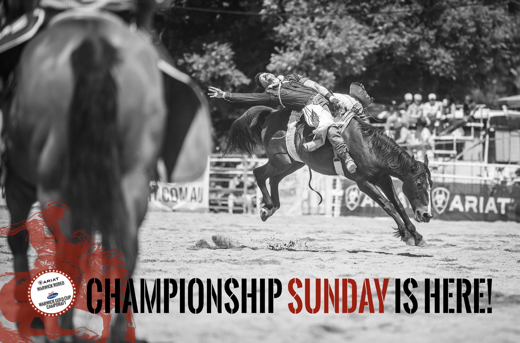 Warwick Rodeo | Warwick QLD