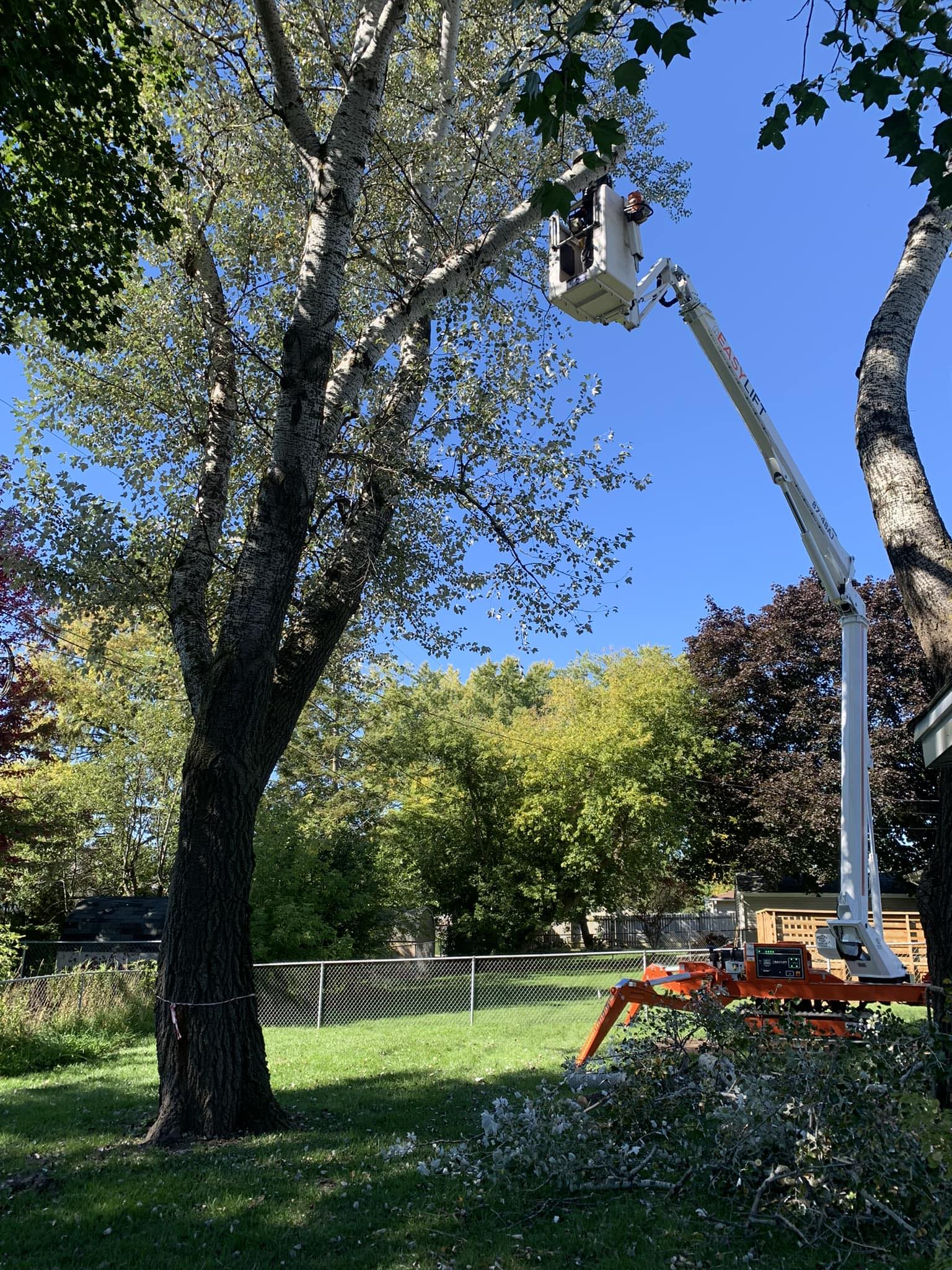 Cutting Edge Tree Service | Racine WI