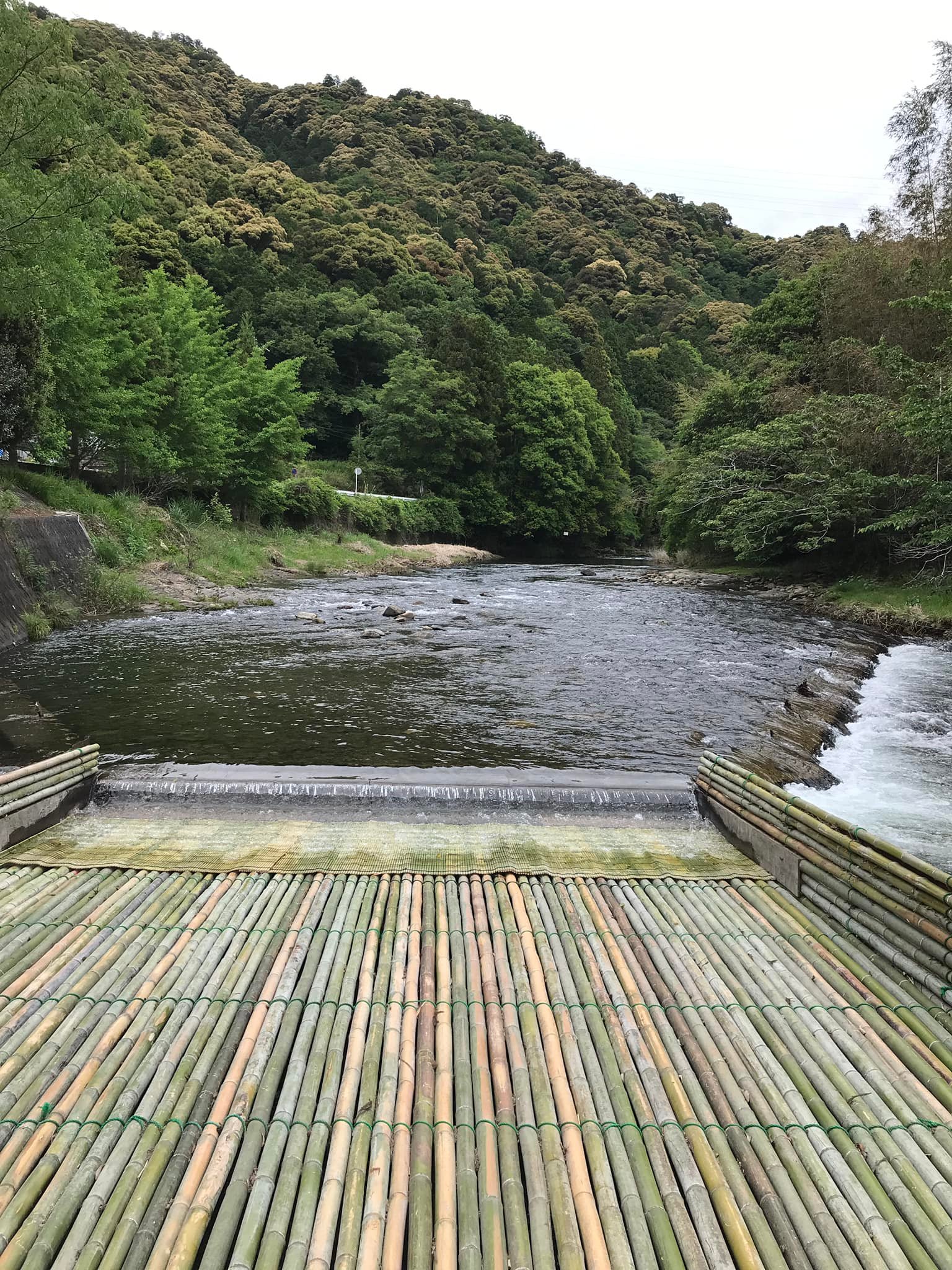 男 川 や な