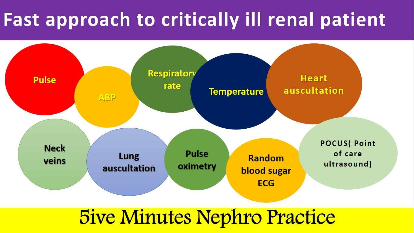 5ive Minutes Nephro Practice - Fast Approach To Critically ill Renal ...