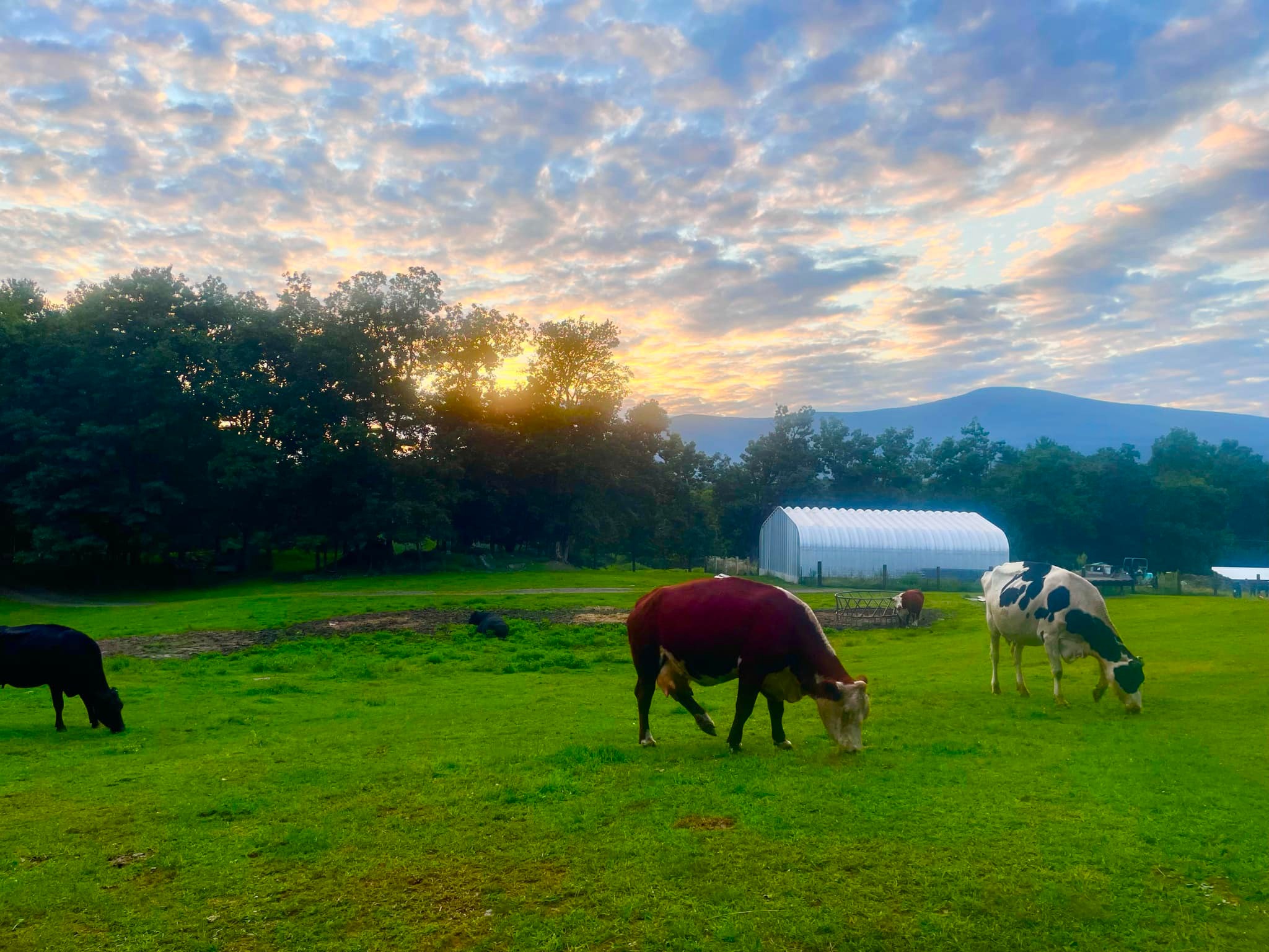 Black Water Ranch | Saugerties NY