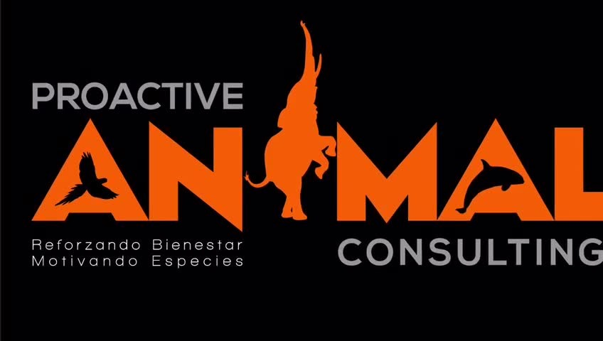 Proactive Animal Consulting | Cancún