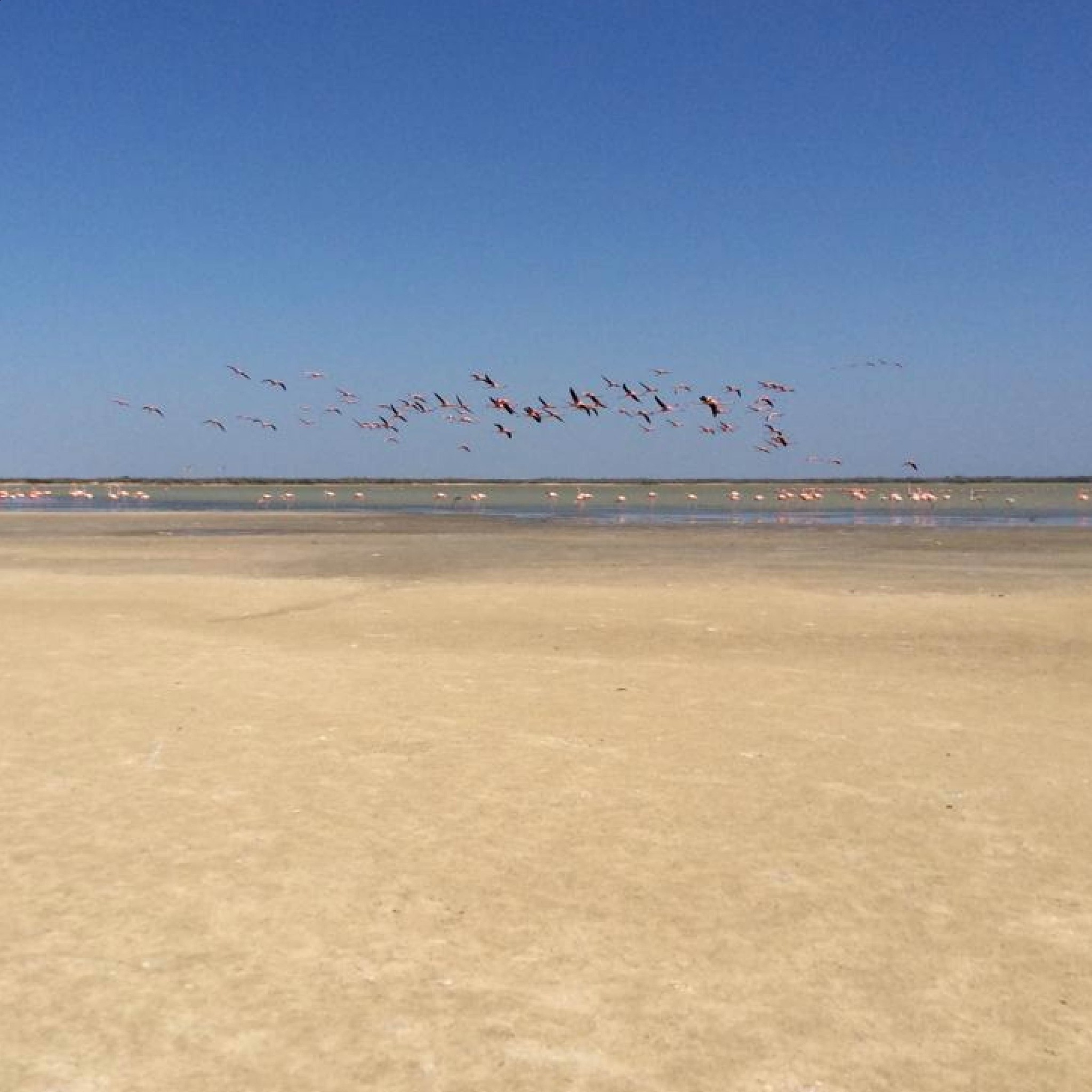 El Matuy - La Guajira es el hogar del Santuario de Fauna y... | Facebook
