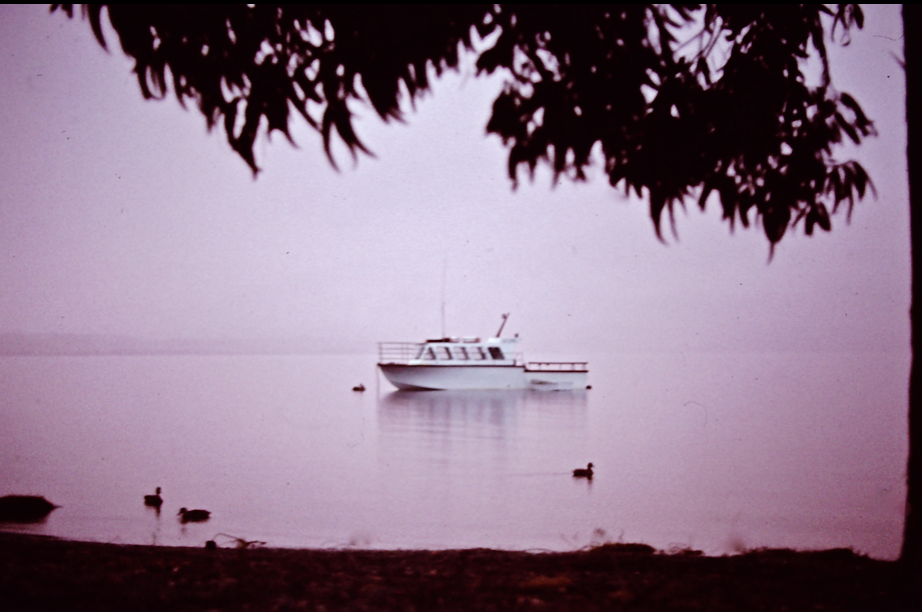 Fiordland News & Folklore