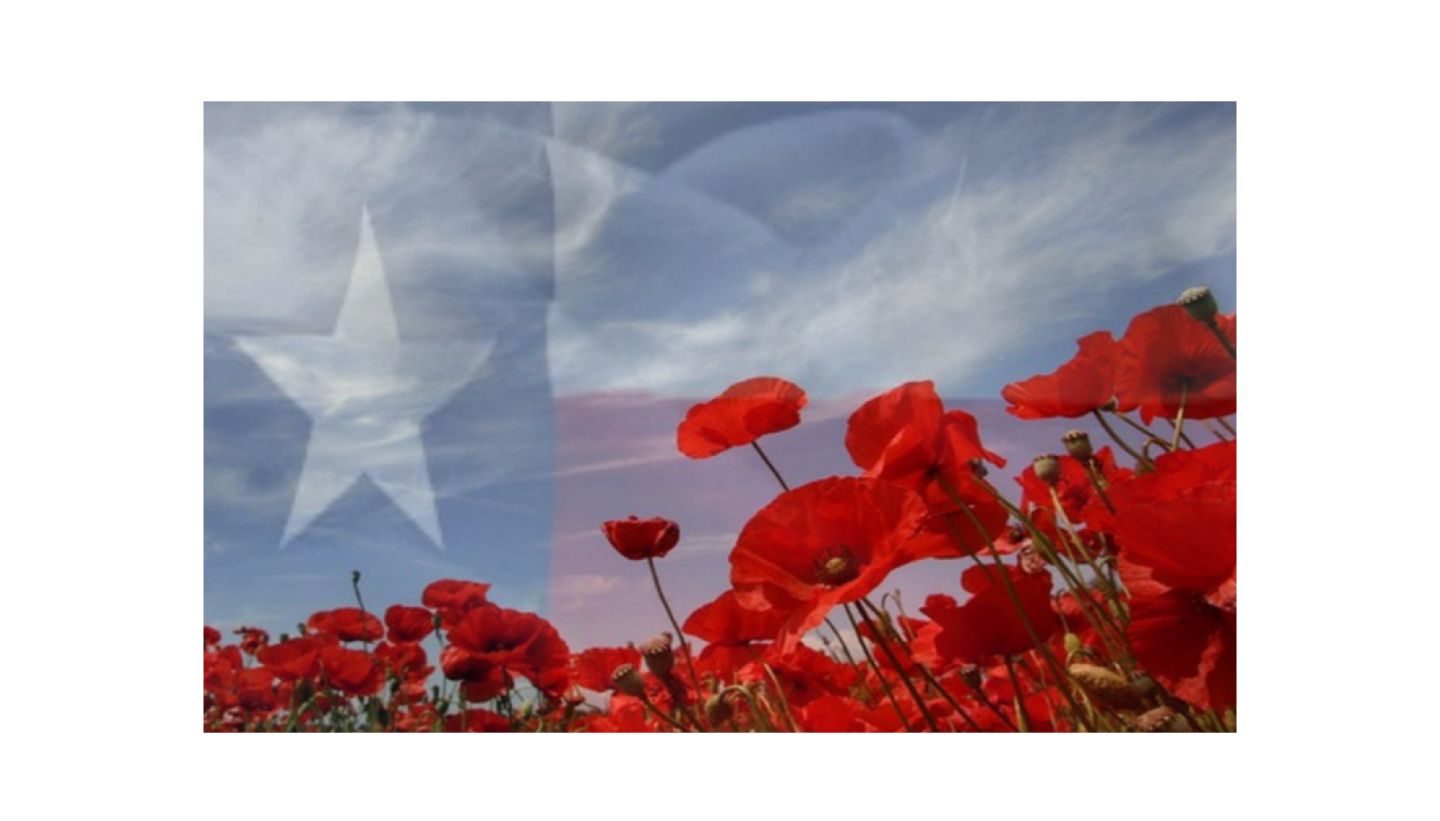 ALA Poppy Program in Texas