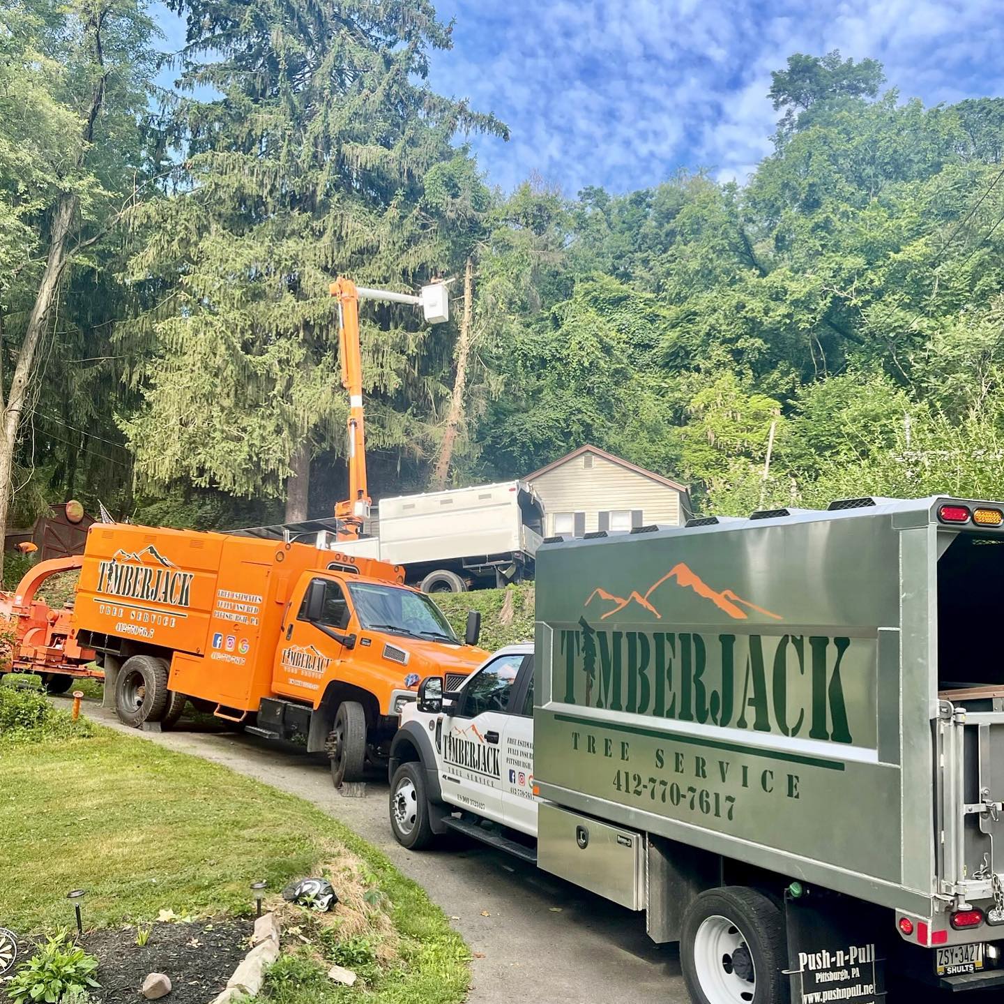 All hands and equipment on deck... - TimberJack Tree Service | Facebook