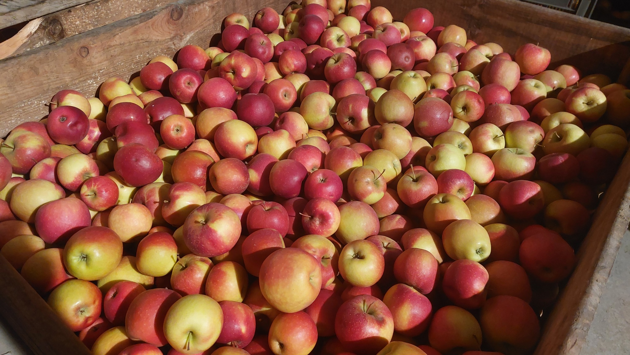 Foire Au Pommes Mont Près Chambord 2022