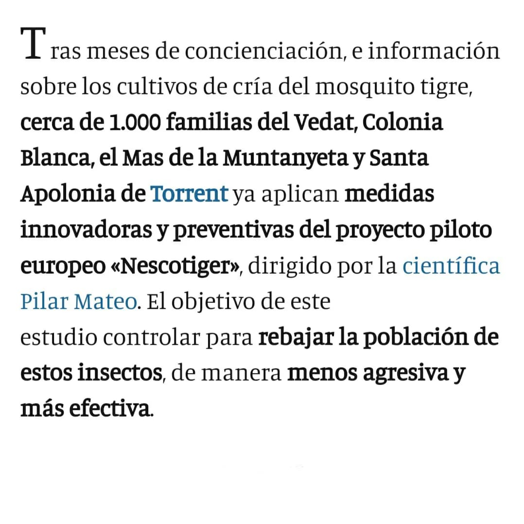 Inesfly Corp. | Paiporta