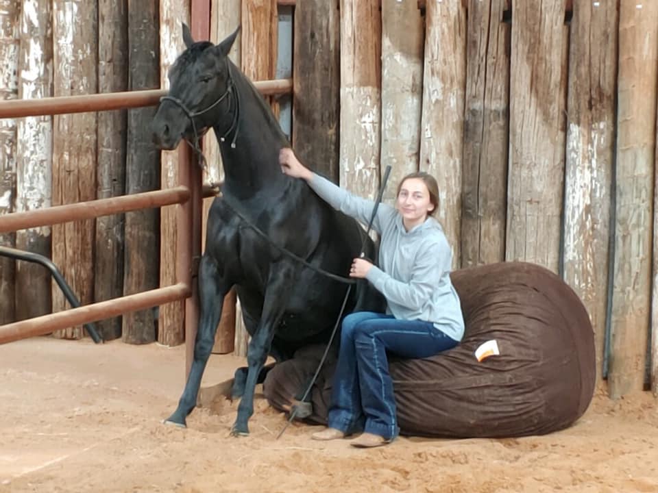 Adele ( 2019 CS filly by... - CS Cattle Co. - Horses | Facebook