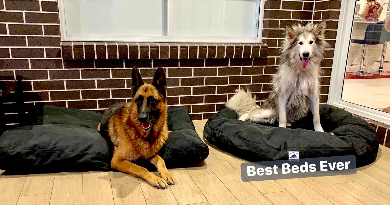 K9 Battle Beds