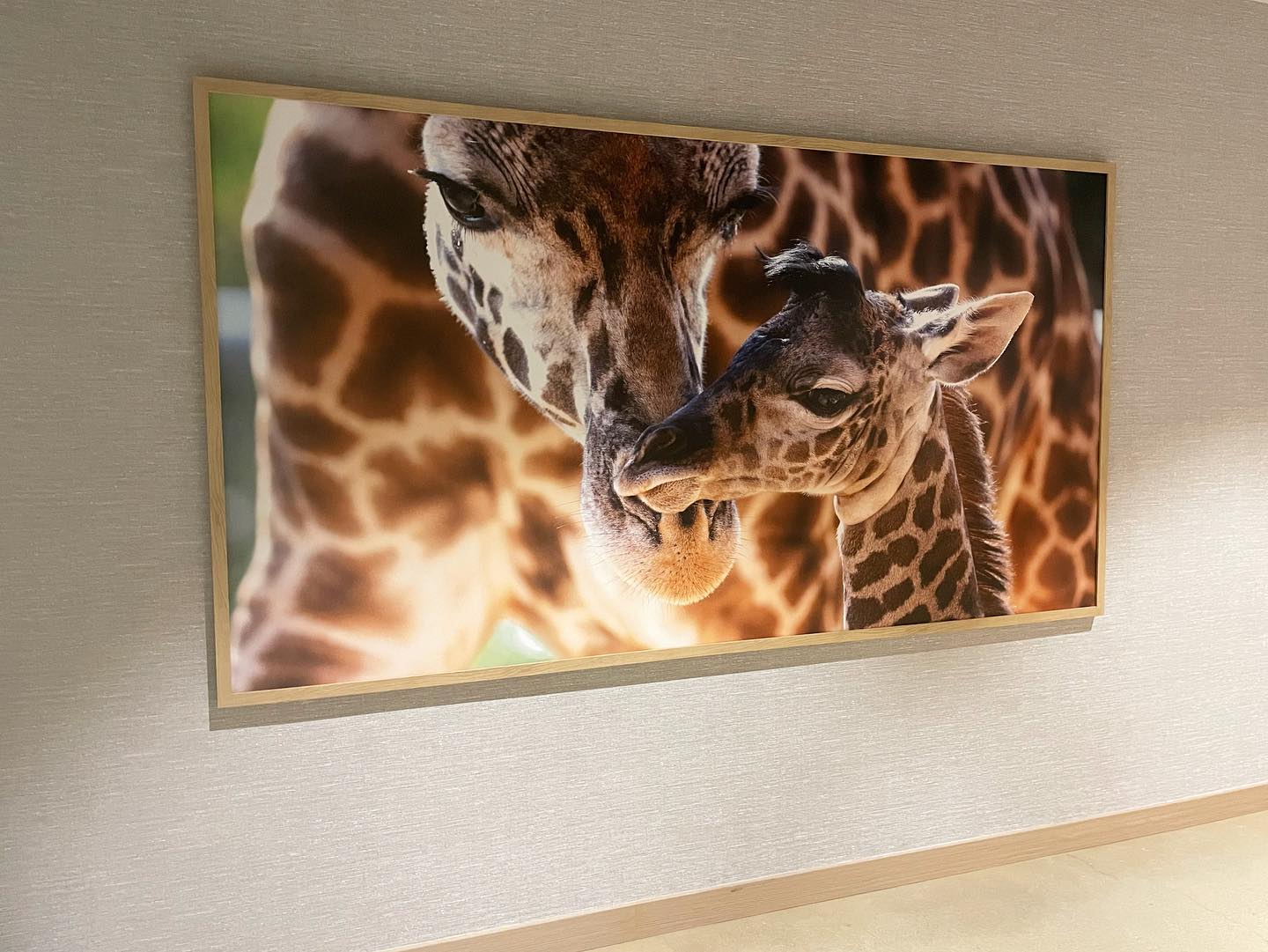 Custom signage & large format artwork... - Impact Visual Arts