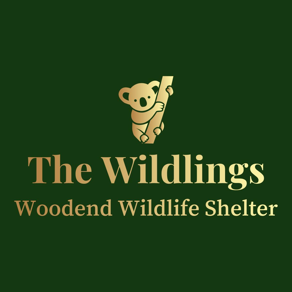 Ten years ago... - The Wildlings Woodend Wildlife Shelter | Facebook