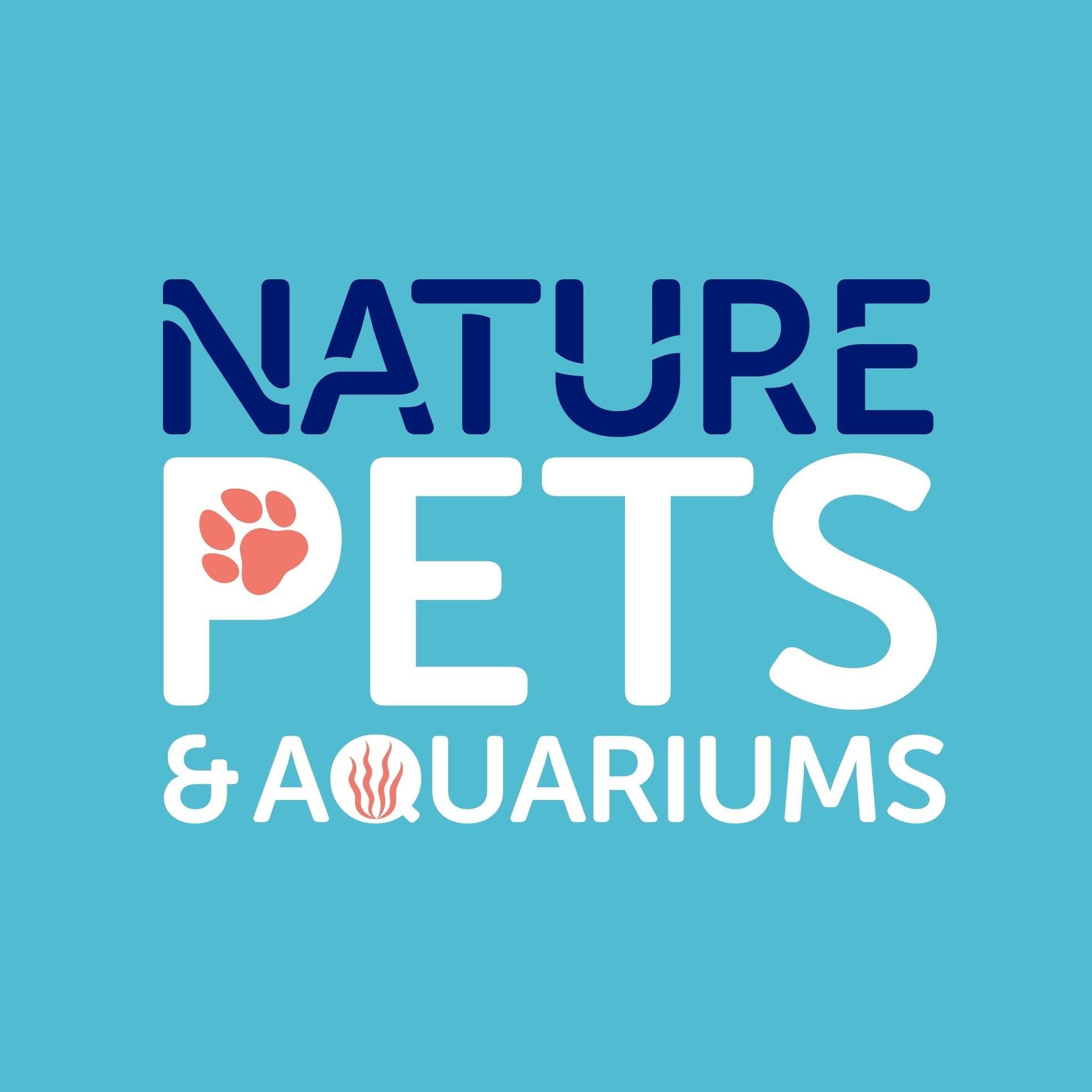 🚨 NEW ARRIVAL! 🚨 We've just received Florida Flag Fish and they don't ...