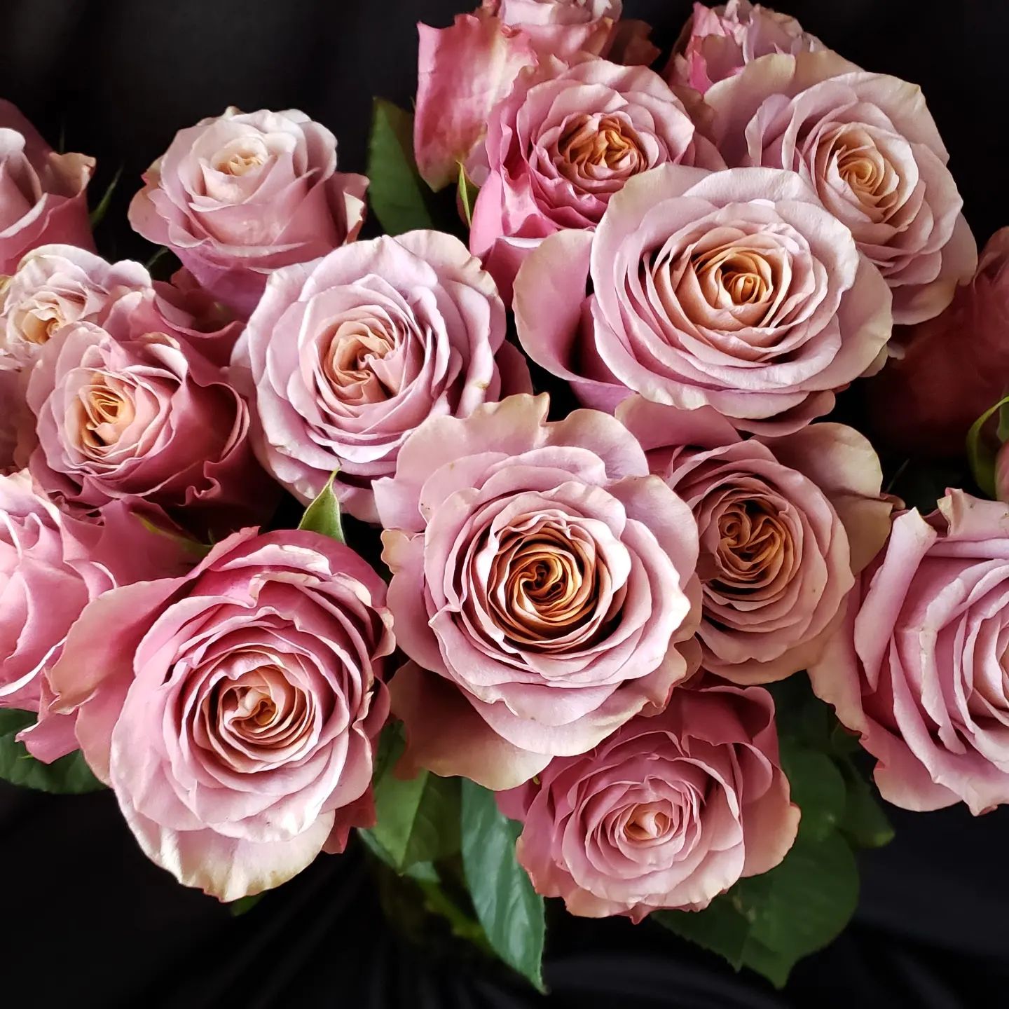 New rose varieties from... - Hilliard Floral Design | Facebook